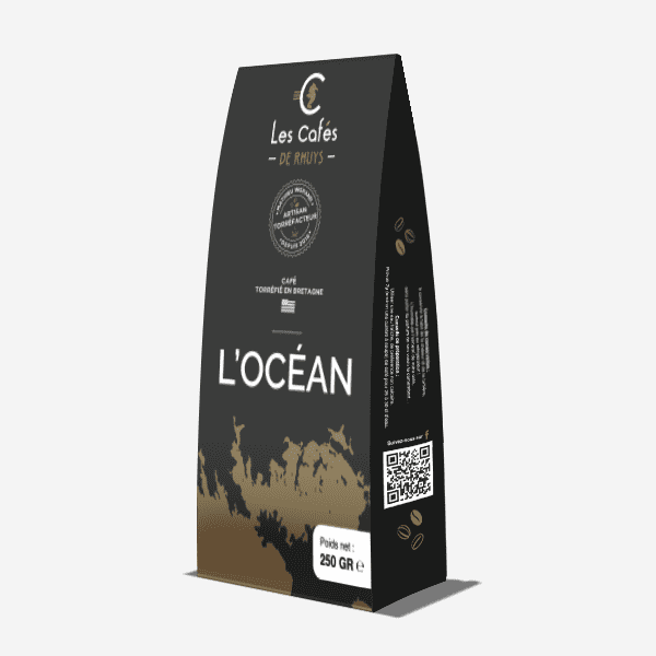 L'Océan