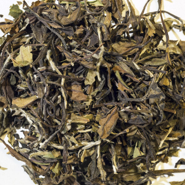 Bai Mu Dan BIO