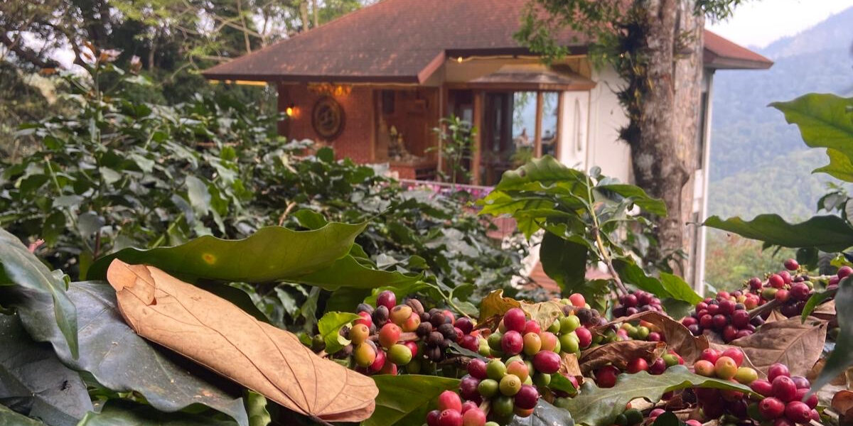 d2398e7d-870b-4173-8ea2-9bfea1117c01 (2)